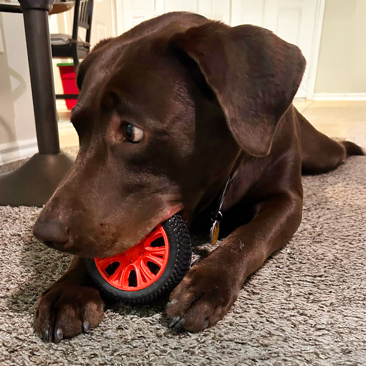 Tire Chew Toy - Natural Rubber for Hard Chewers