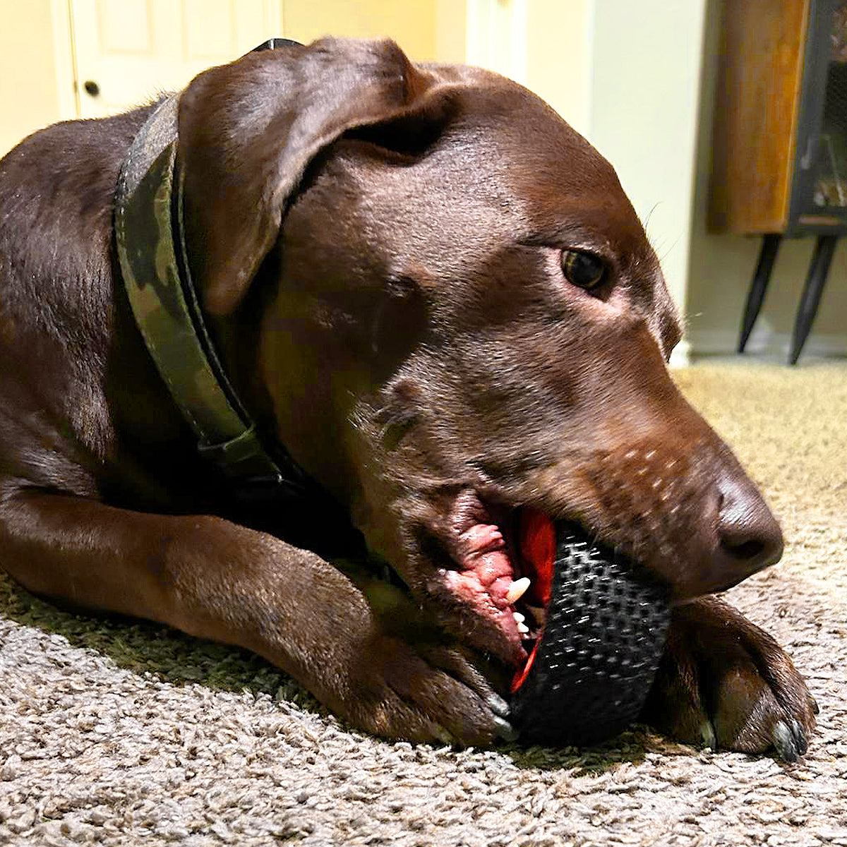 Tire Chew Toy - Natural Rubber for Hard Chewers