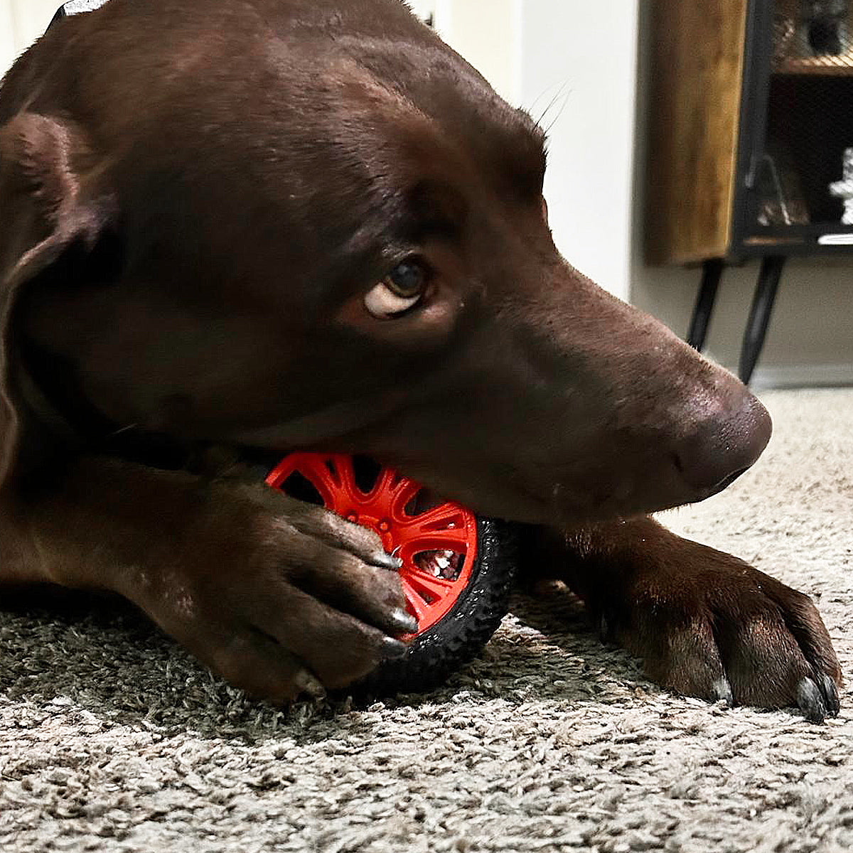 Tire Chew Toy - Natural Rubber for Hard Chewers